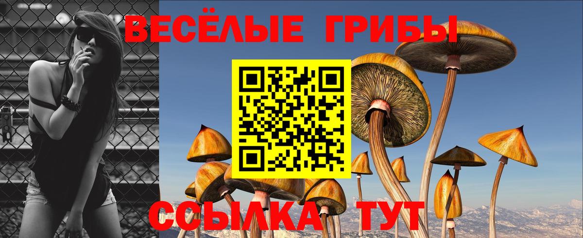 Псилоцибиновые грибы Magic Shrooms Кубинка